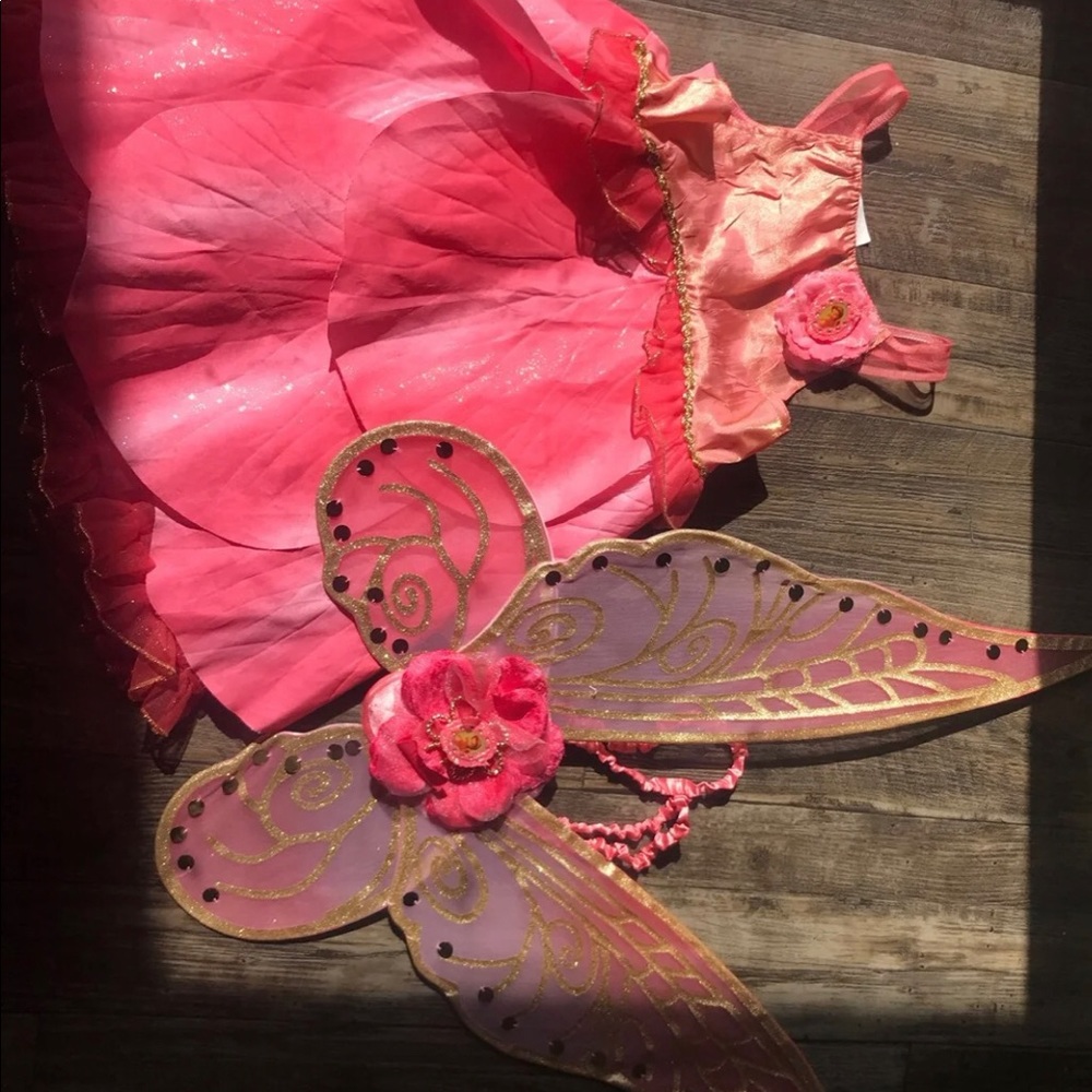 Rosetta Fairy Costume w/ Wings!!